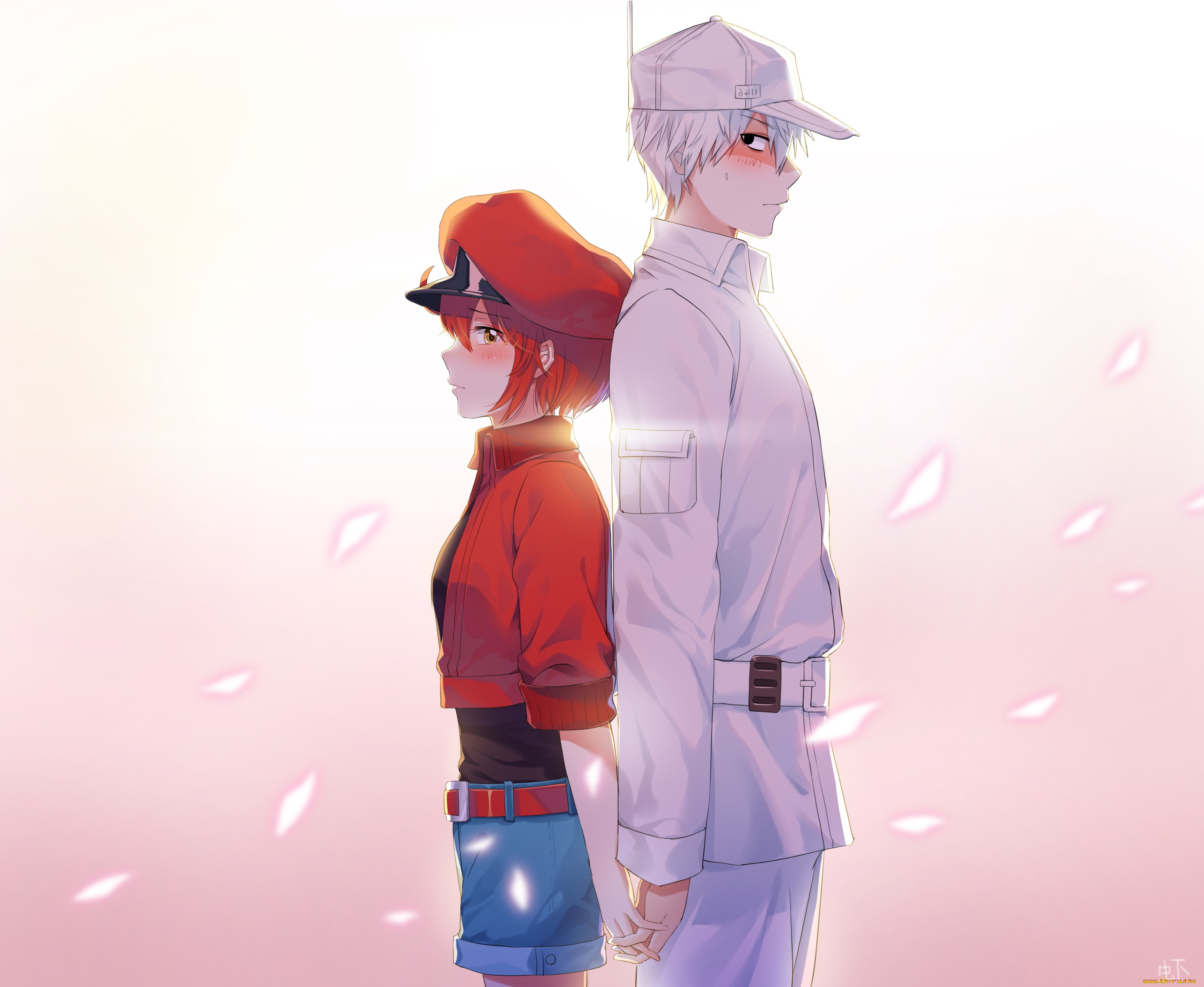 cells at work, , hataraku saibou,  cells at work, 